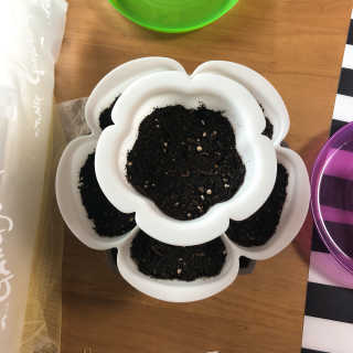 nisio님이 올린 리뷰 사진 1