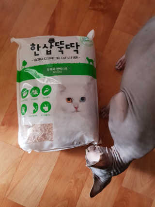 [펫토리아] BEST 고양이두부모래 6L 한삽뚝딱 — 4.67점을 준 리뷰어가 2019년 1월 올린 사용 사진