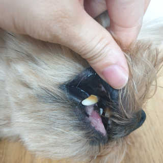 Rooloo님이 올린 리뷰 사진 2