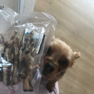 하리유빈님이 올린 리뷰 사진 1