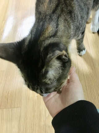 B님이 올린 리뷰 사진 2