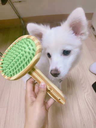 미니님이 올린 리뷰 사진 1