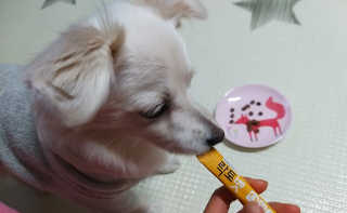 뭉글님이 올린 리뷰 사진 2
