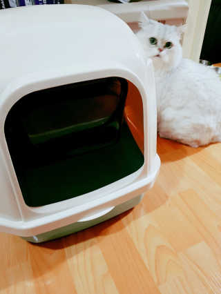 [펫토리아] BEST 한큐뚝딱 고양이 후드형 화장실 — 4.5점을 준 리뷰어가 2019년 1월 올린 사용 사진