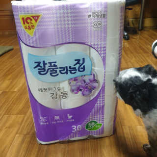 가횽님이 올린 리뷰 사진 1