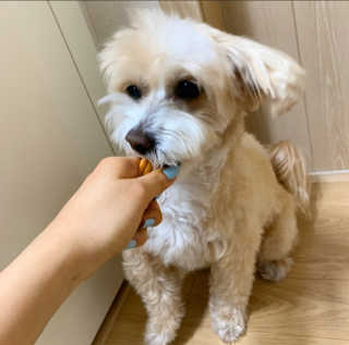 fati님이 올린 리뷰 사진 2