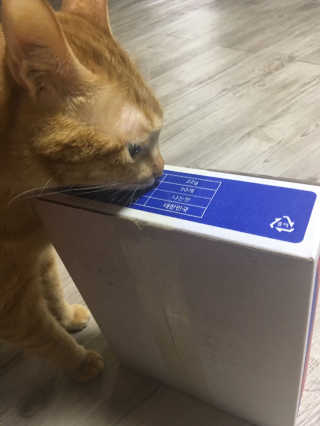 SujinJeong님이 올린 리뷰 사진 3