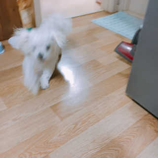 이경진님이 올린 리뷰 사진 4