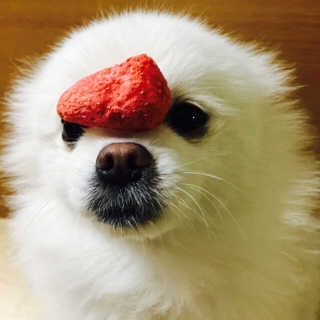 noname님이 올린 리뷰 사진 2