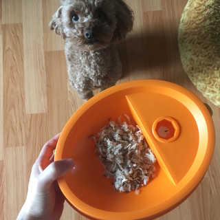 은치치님이 올린 리뷰 사진 3