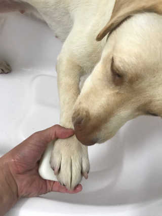이지닝님이 올린 리뷰 사진 2