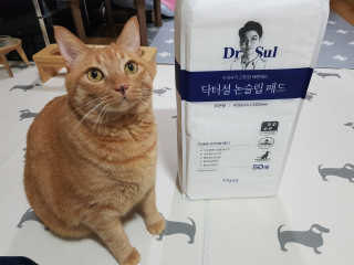 솔탄이love님이 올린 리뷰 사진 1
