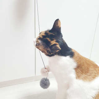 LoveLoveNa님이 올린 리뷰 사진 1