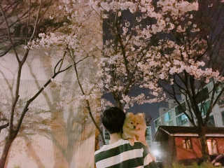 익명님이 올린 리뷰 사진 1