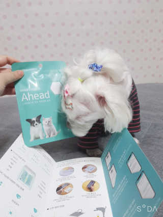 두부님이 올린 리뷰 사진 2