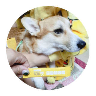 ♥️여봉달달달♥️님이 올린 리뷰 사진 2