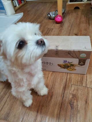 [하이헬스] 환절기에 좋은 참진한 도라지생강즙 30포 — 5점을 준 리뷰어가 2019년 11월 올린 사용 사진