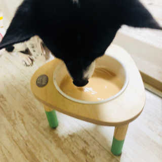 꿀주야님이 올린 리뷰 사진 1