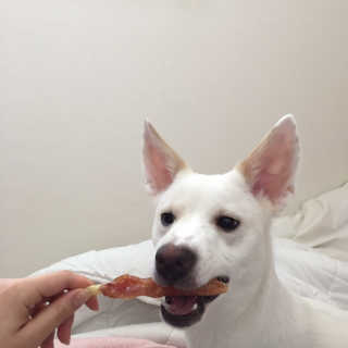 J님이 올린 리뷰 사진 2