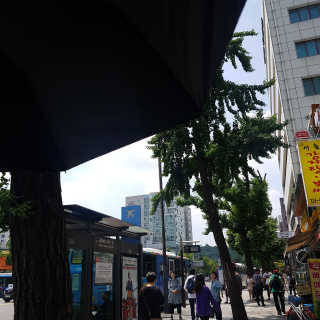 영지버섯님이 올린 리뷰 사진 3
