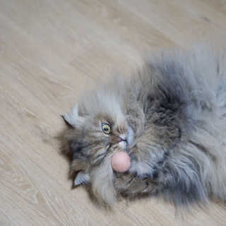 쏘e님이 올린 리뷰 사진 3