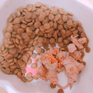 베짱이엄마님이 올린 리뷰 사진 4