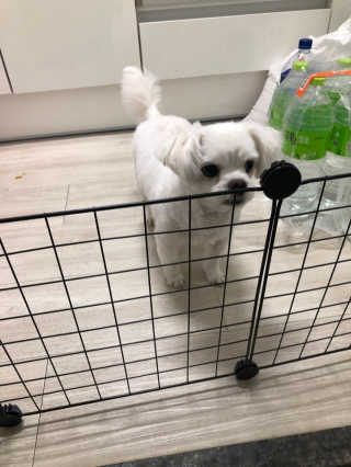 seungju님이 올린 리뷰 사진 1