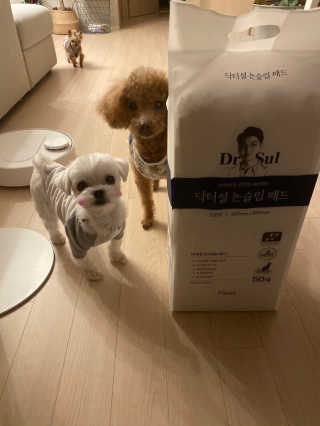 황방울이님이 올린 리뷰 사진 2