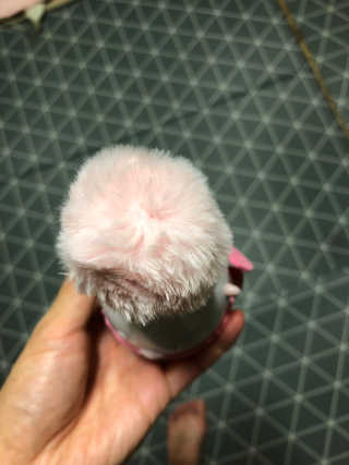 초코도깅님이 올린 리뷰 사진 2
