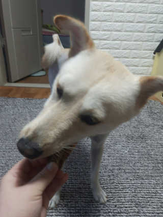 JinSePark님이 올린 리뷰 사진 4