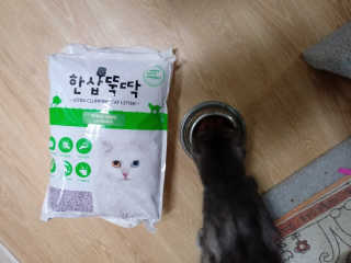 [펫토리아] BEST 고양이두부모래 6L 한삽뚝딱 — 5점을 준 리뷰어가 2019년 2월 올린 사용 사진