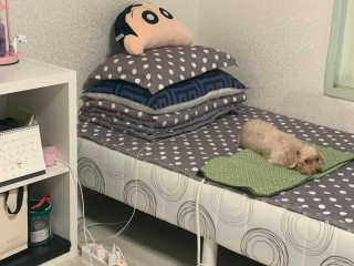 뽀로로님이 올린 리뷰 사진 3