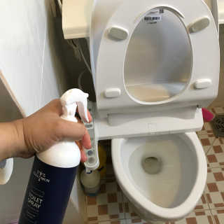 셀로몬 토일렛 스프레이 500ml — 3.5점을 준 리뷰어가 2018년 5월 올린 사용 사진