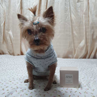 솜희님이 올린 리뷰 사진 3