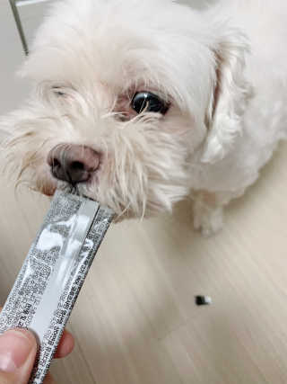 으니부기님이 올린 리뷰 사진 1