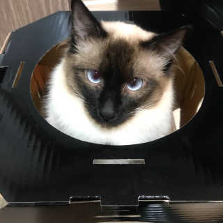 현태환님이 올린 리뷰 사진 1