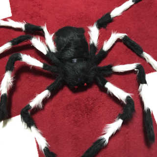 제이님이 올린 리뷰 사진 1