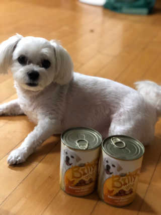 Canteen님이 올린 리뷰 사진 1