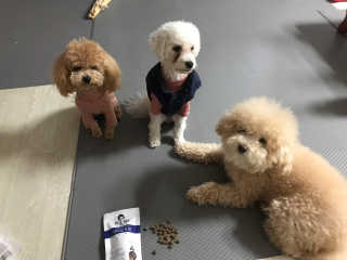 모모맘님이 올린 리뷰 사진 2