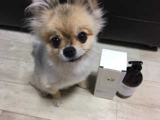 Ariel님이 올린 리뷰 사진 2