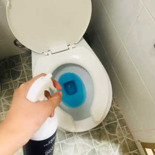 셀로몬 토일렛 스프레이 500ml — 4.5점을 준 리뷰어가 2018년 5월 올린 사용 사진