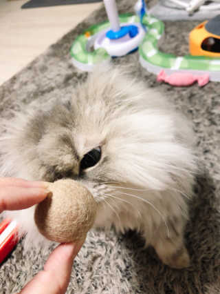 꼬끼오님이 올린 리뷰 사진 1