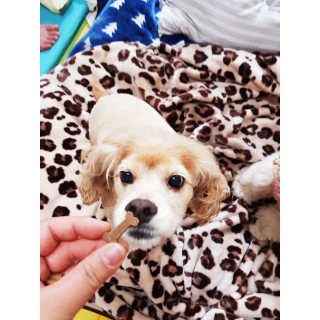 조소민님이 올린 리뷰 사진 3