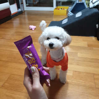 민동2님이 올린 리뷰 사진 2