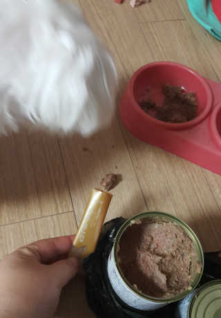 하루한첩 반려동물 한방영양제 장튼튼 7days — 4.83점을 준 리뷰어가 2018년 1월 올린 사용 사진