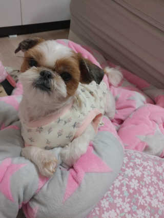 딸기언니님이 올린 리뷰 사진 3