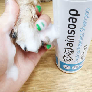 Rooloo님이 올린 리뷰 사진 1