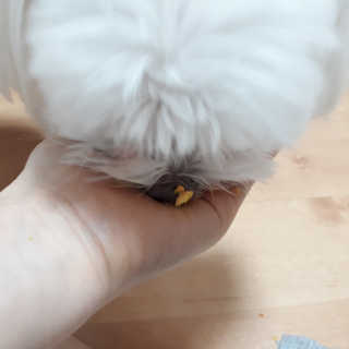 다뚠님이 올린 리뷰 사진 4