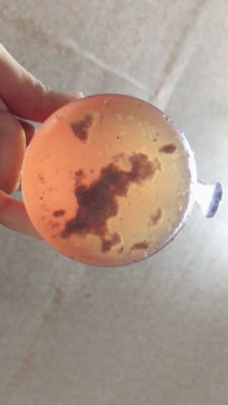 박꼼냥님이 올린 리뷰 사진 3