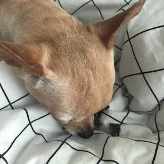 뿅아리뺙님이 올린 리뷰 사진 4
